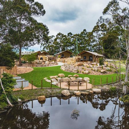 Glamping 148 Tasmania Hotel St Helens Exterior foto